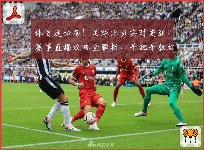 体育迷必备!足球比分实时更新、赛事直播攻略全解析,手把手教你选择最佳体育App